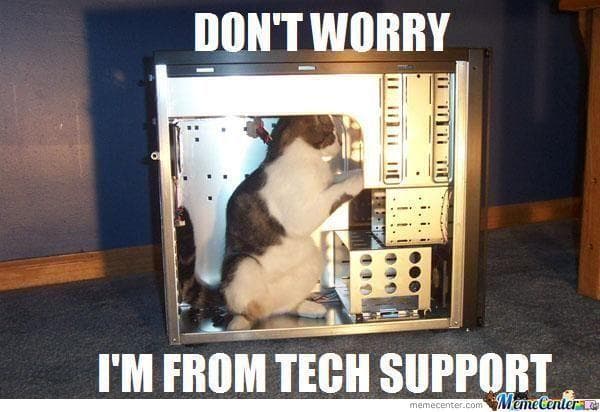 Cat meme - Don't worry, I'm from tech support